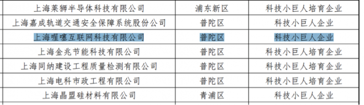 科技小巨人企业