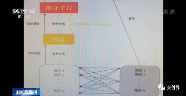 “跑分”洗钱涉案超20亿元，四个非法支付平台被端(图2)