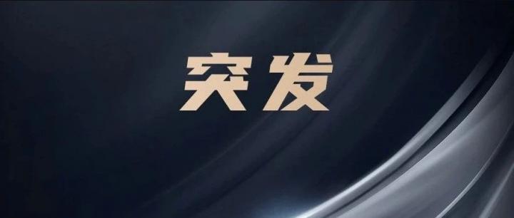 【突变】盗刷频发，PAY免密或将不在！